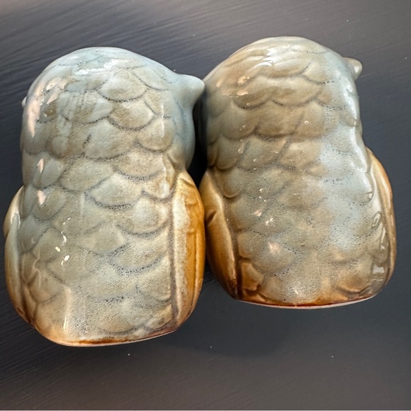 Owl Salt and Pepper Shakers Hand Painted Ceramic Rustic Fall Autumn Decor Colors - Picture 5 of 8